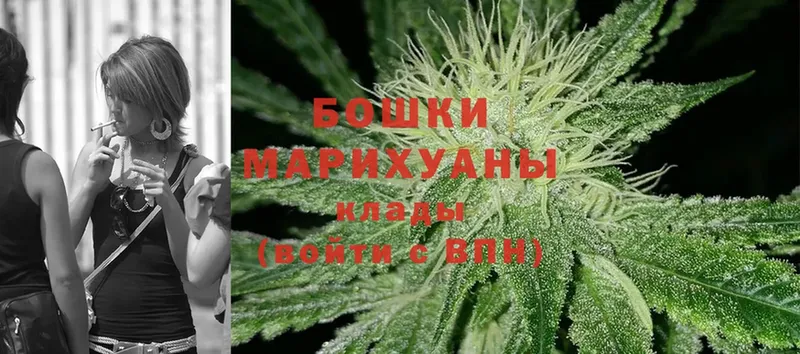 купить наркотик  Мичуринск  Марихуана конопля 